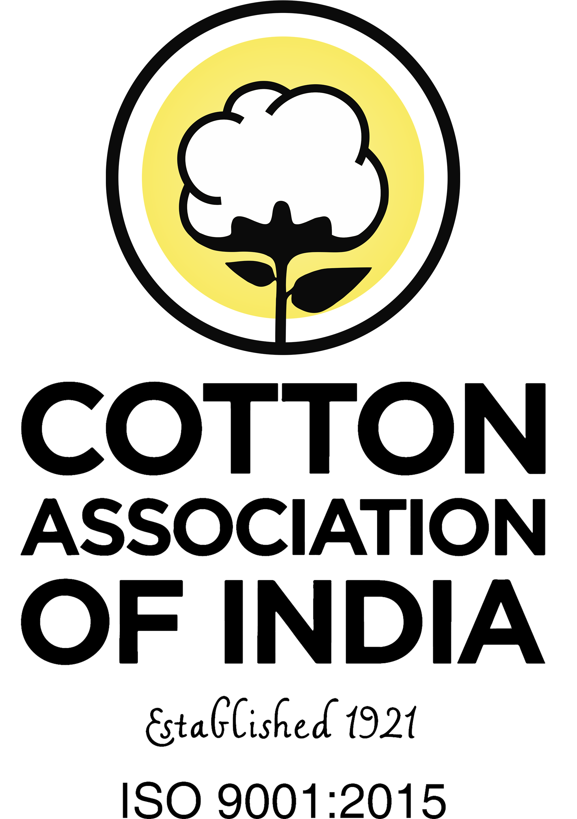 CAI Logo